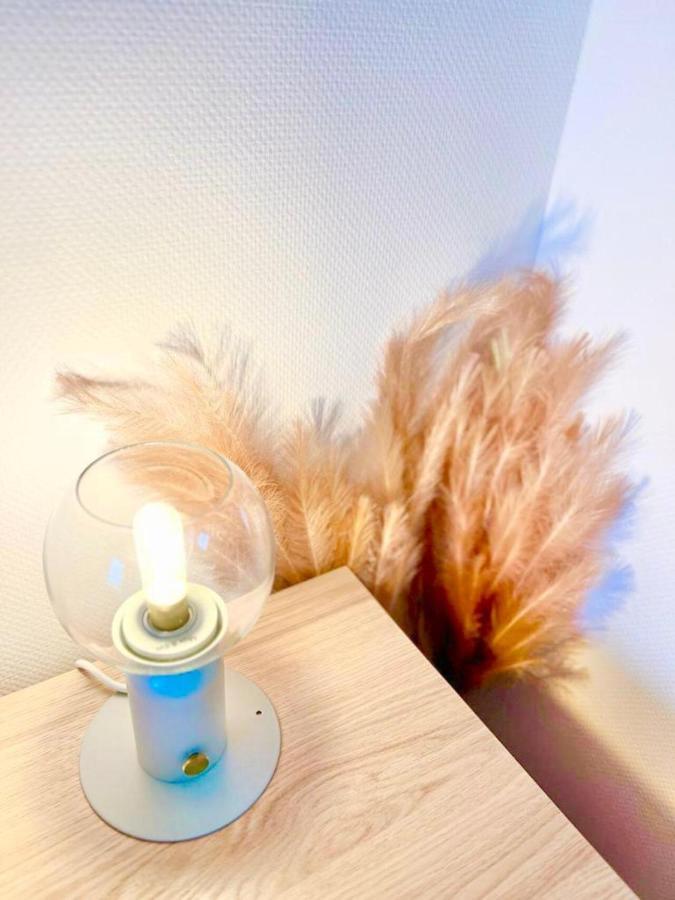 L'Atelier Chic - Wifi Fibre - Parking Privee - Balcon - Netflix Apartment Ланестер Екстериор снимка